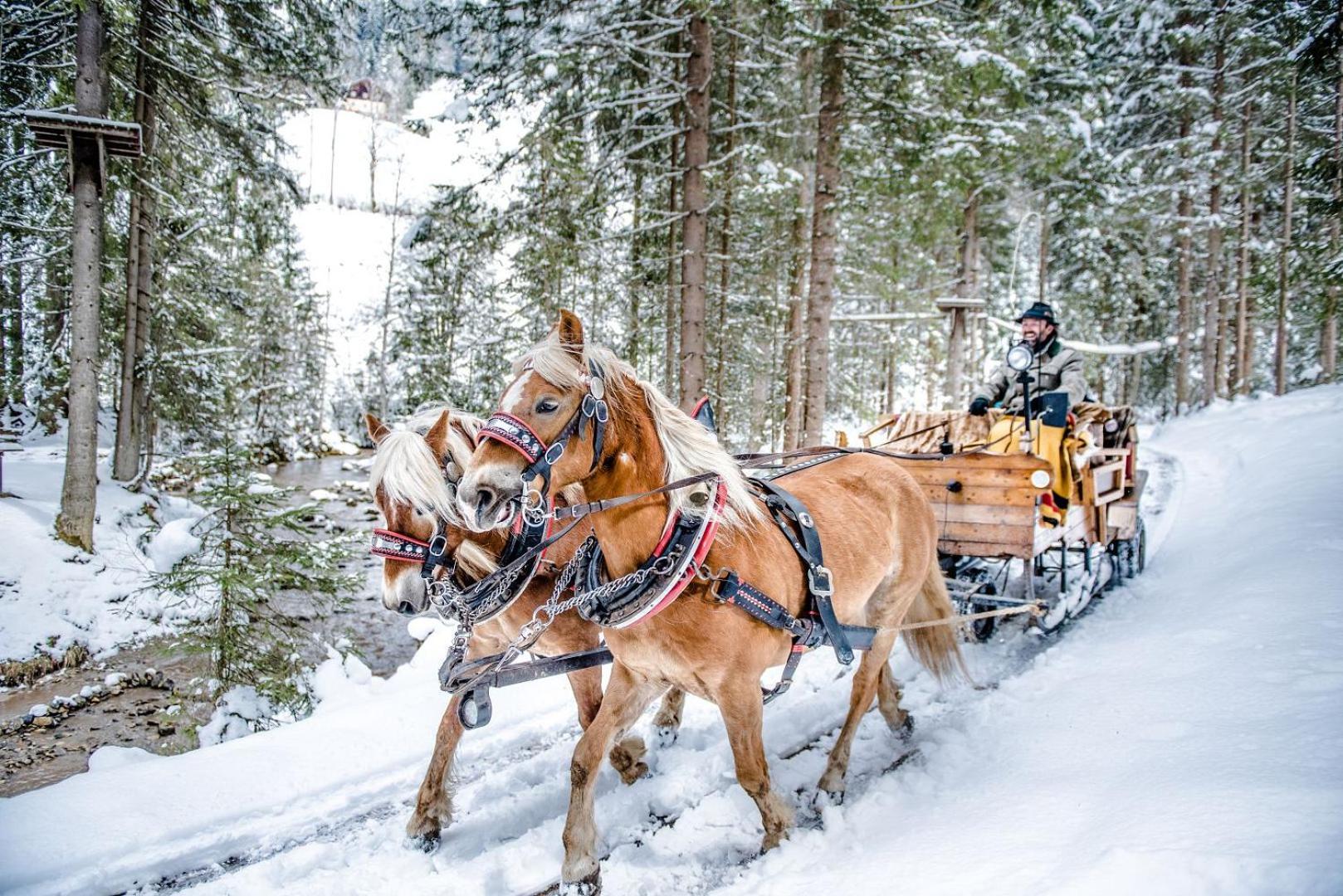 Hotel Sportalmmm, Hoch-Genuss (Adults Only) Zauchensee Buitenkant foto