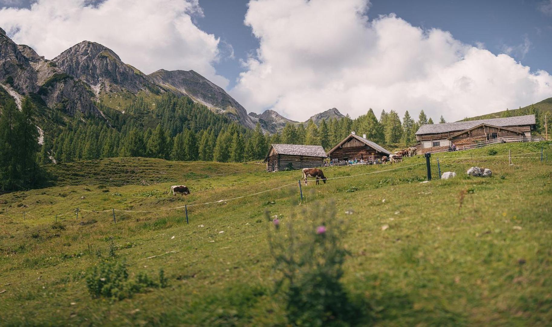 Hotel Sportalmmm, Hoch-Genuss (Adults Only) Zauchensee Buitenkant foto