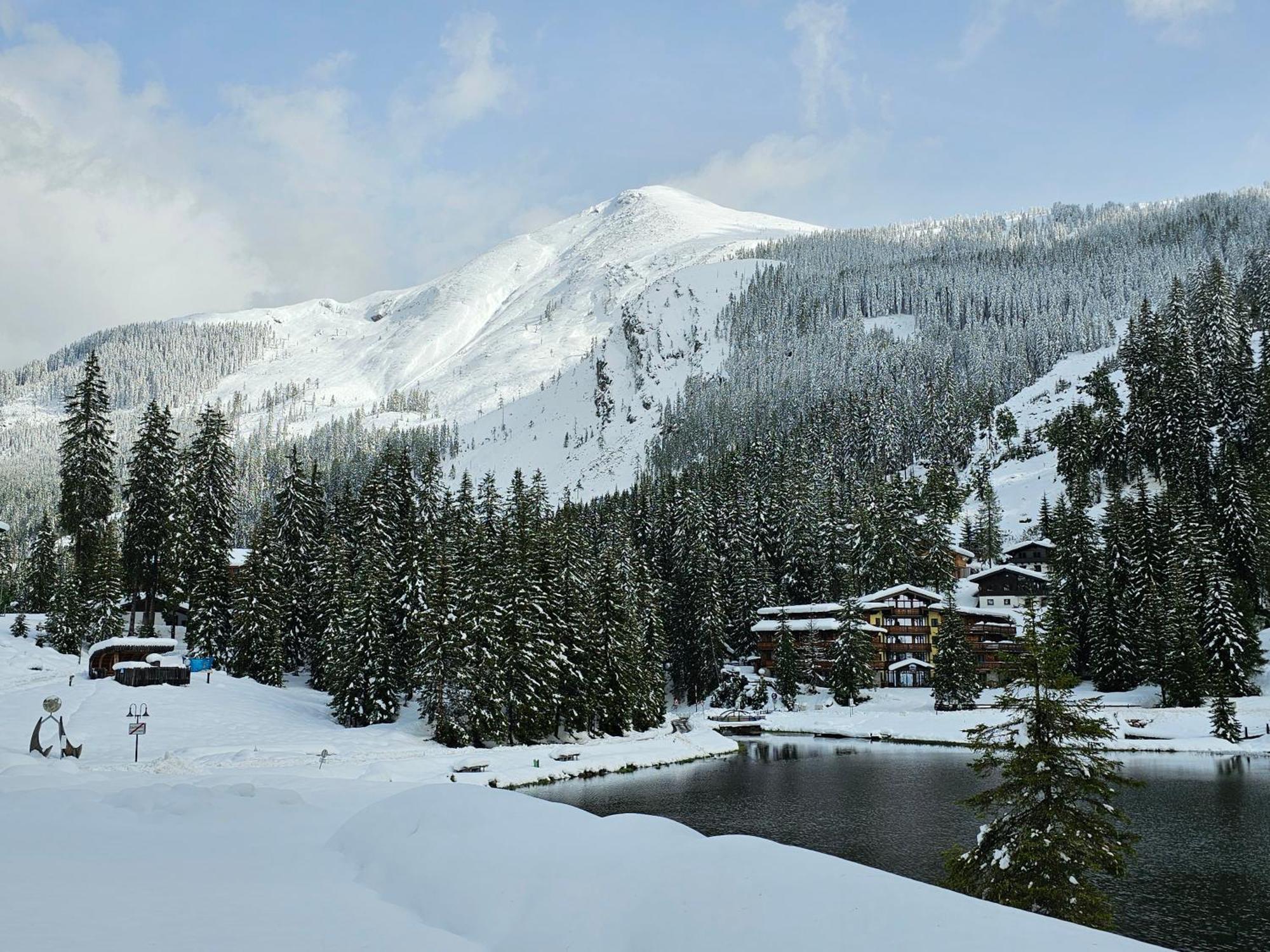 Hotel Sportalmmm, Hoch-Genuss (Adults Only) Zauchensee Buitenkant foto